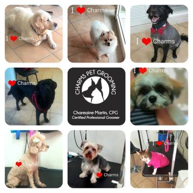 Charms Pet Grooming