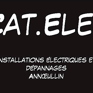 Cat Elec