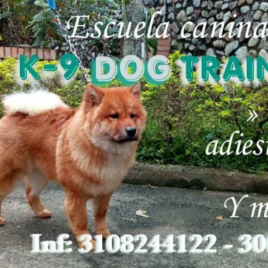 K-9 DOG TRAINER