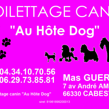 Au Hote Dogue