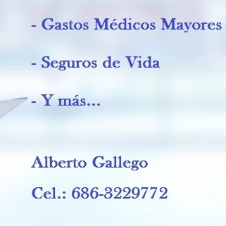 AG Seguros