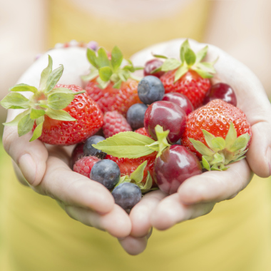 Dra. Lissette Polanco, Especialista en Nutrición