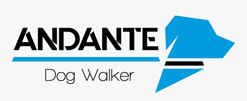 AnDante