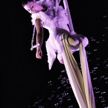 Aerial dream