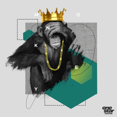 Diseñador  gráfico / freelance /