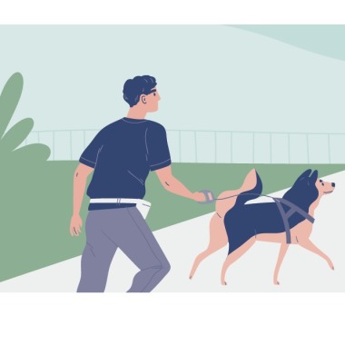 Paseo tus mascotas