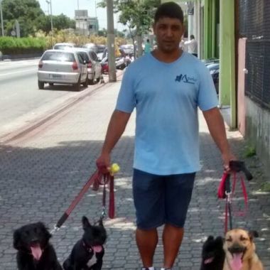 Apolo Adestramento
