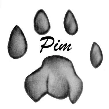 Pim hondenopvoeding