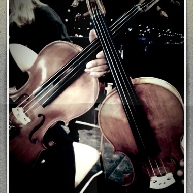 Stringsquartet