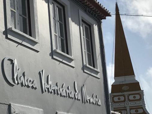 Clínica Veterinária da Memória