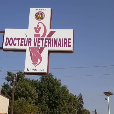 VET CONSULT