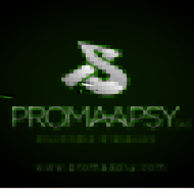PROMAAPSY SAS