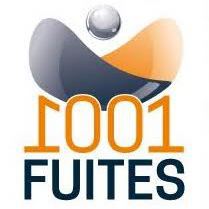 Plomberie 1001 Fuites Multi-Services