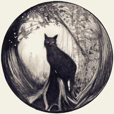 Pájaro Errante Art