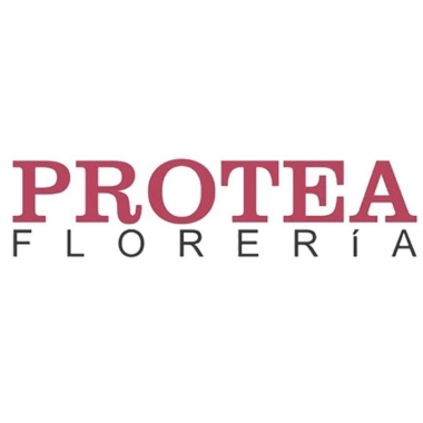 Floreriaprotea