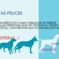 Huellitas felices