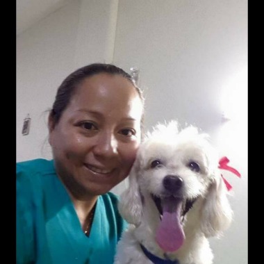 Mascotas Mimadas Holistic Vet