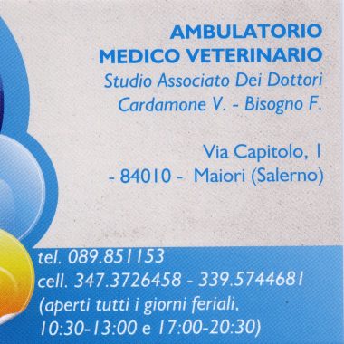 Ambulatorio Veterinario  Cardamone V. - Bisogno F.