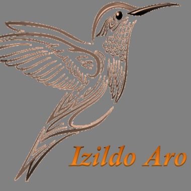 Izildo aro - Corretor e avaliador de imóveis