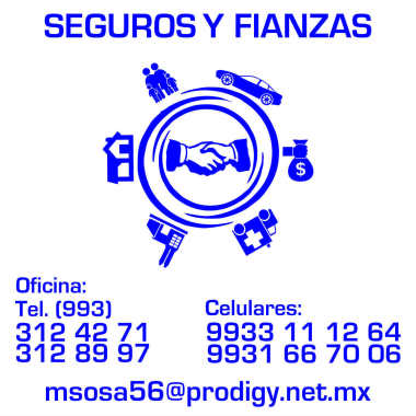 MARTHA DEL C. SOSA MUÑOZ.-  SEGUROS Y FIANZAS