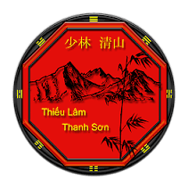 Thiếu Lâm Thanh Son
