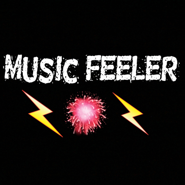 DJmusicfeeler