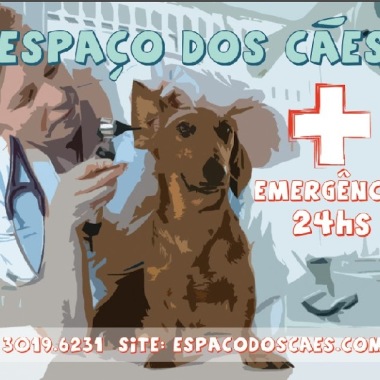 Clínica Veterinária 24 horas - Espaço dos Cães e Cia SJC