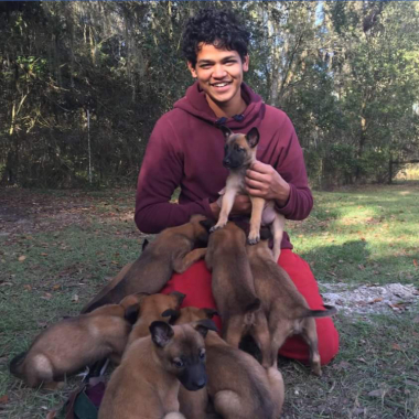 Saket Gokhale - Canine Trainer