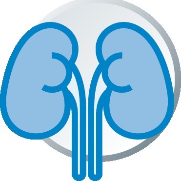 Urologo Garcia Caballero telf 22506848