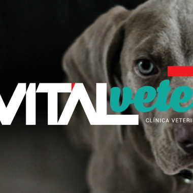 Vitalvete Clínica Veterinária