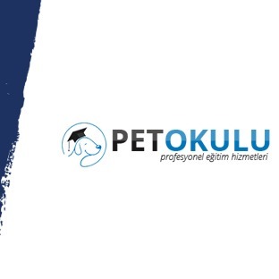 Pet Okulu Köpek Eğitimi ve Köpek Oteli Hizmeti
