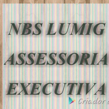 NBS LUMIG ASSESSORIA EXECUTIVA