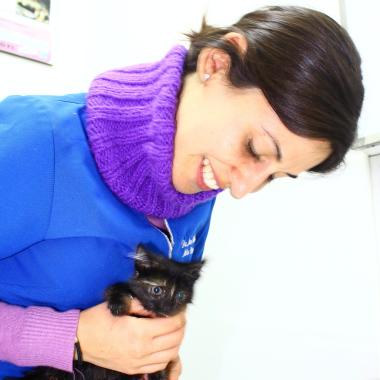 Veterinaria Nueva Ñuñoa
