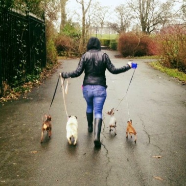 S L Canine Services