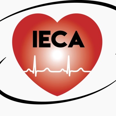 Instituto de Enfermedades Cardiovasculares