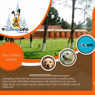 Dianey Dog Hotel Pet