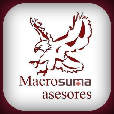 Consultor empresarial profesional