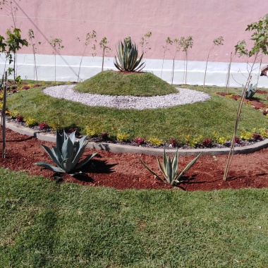 Servicio de Jardinería Flores