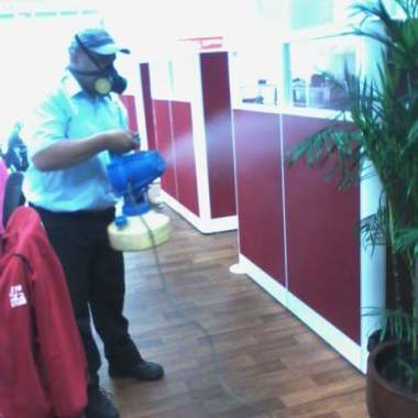 Killmore pest control bulacan