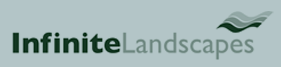 Infinite Landscapes
