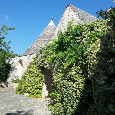 Ricevimenti Masseria Gelso Antico a Monopoli