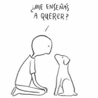 Animal sense