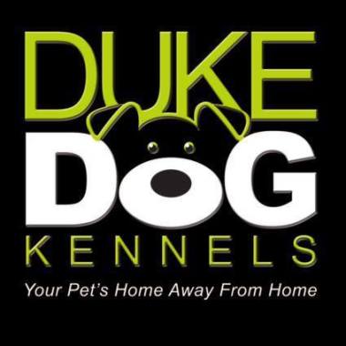 Duke Dog Boarding Kennels Manchester