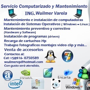 Servicios Computarizados
