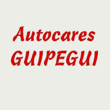 Autocares y Taxi Guipegui