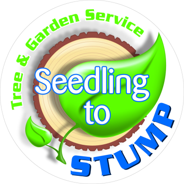 Seedling to Stump: Tree Service