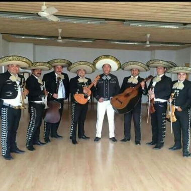 Mariachis Veracruz