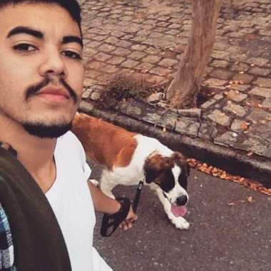 Abel Passeador de Cães Curitiba