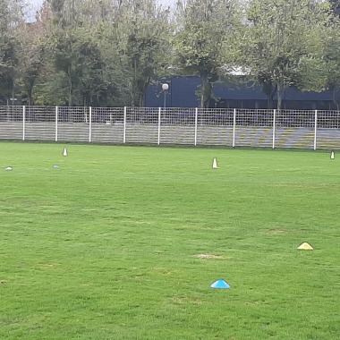 Perfections training football