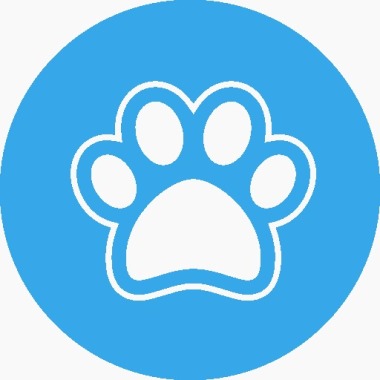 PaseanDog Bogotá